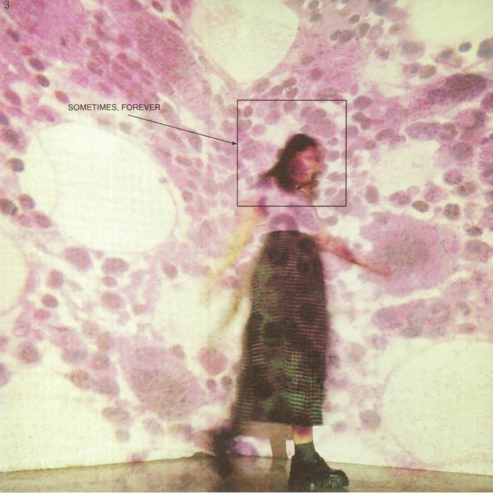 Soccer Mommy《Sometimes, Forever》（CD）