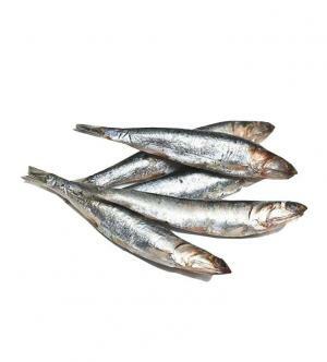 挪威多春魚 (8-10 條) 170g