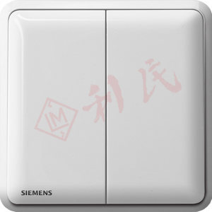 西門子 DELTA®seata 10AX 雙位雙控開關掣 (白/銀)