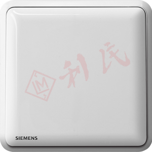 西門子 DELTA®seata 10AX 單位單控開關掣 (白/銀)