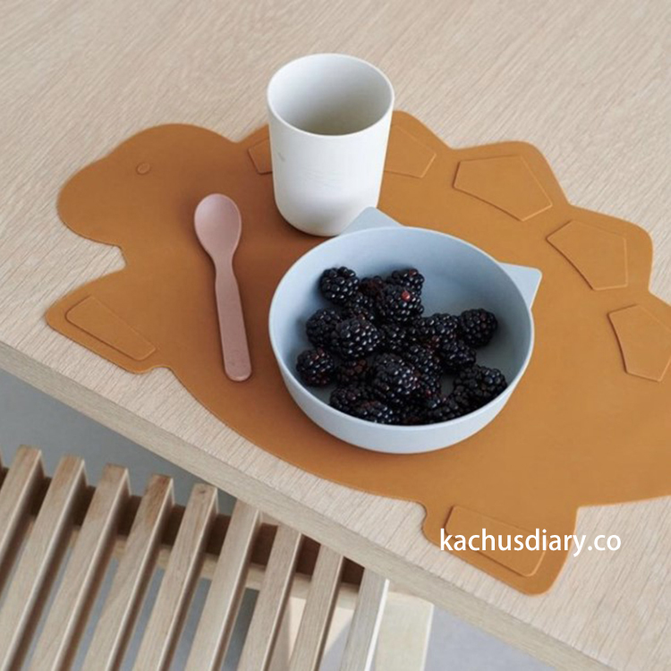 dinosaur placemat