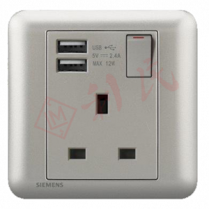 西門子 DELTA®seata 13A單位開關插座(帶USB插座)(白/銀)