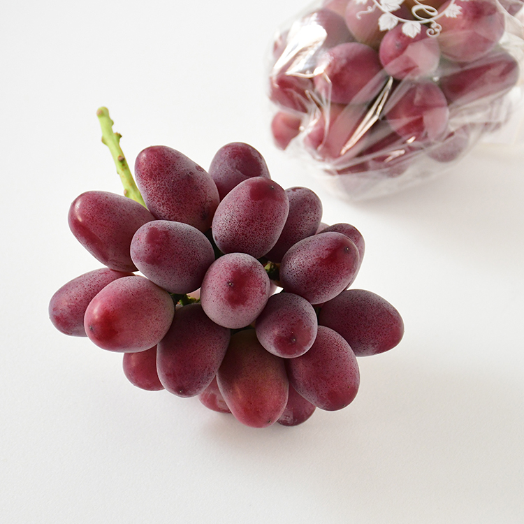 日本島根神紅葡萄