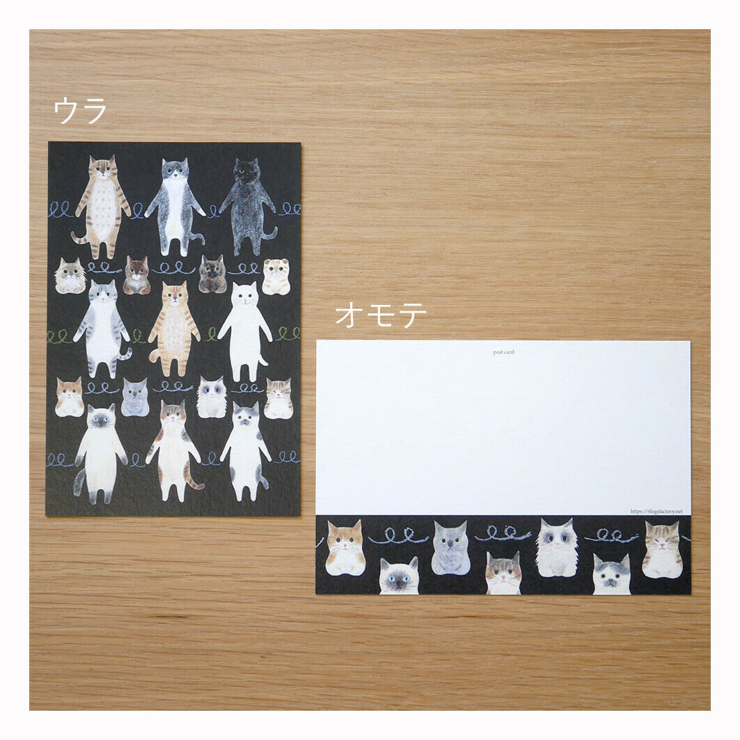 貓咪好朋友 貓咪繪本明信片｜日本 4legs