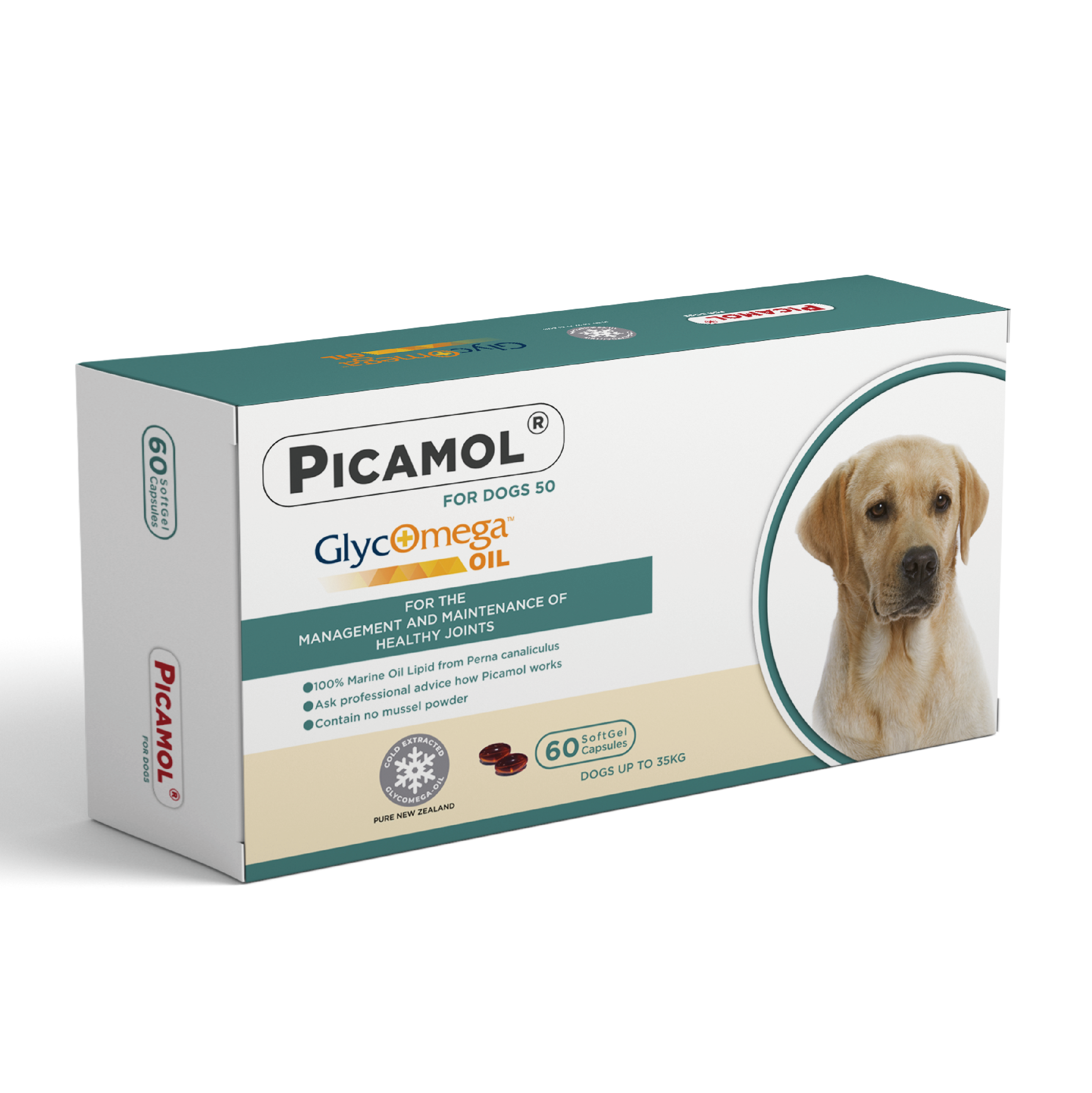 Picamol⎜綠貽脂 犬用>20kg (60粒) (PAL-9954)