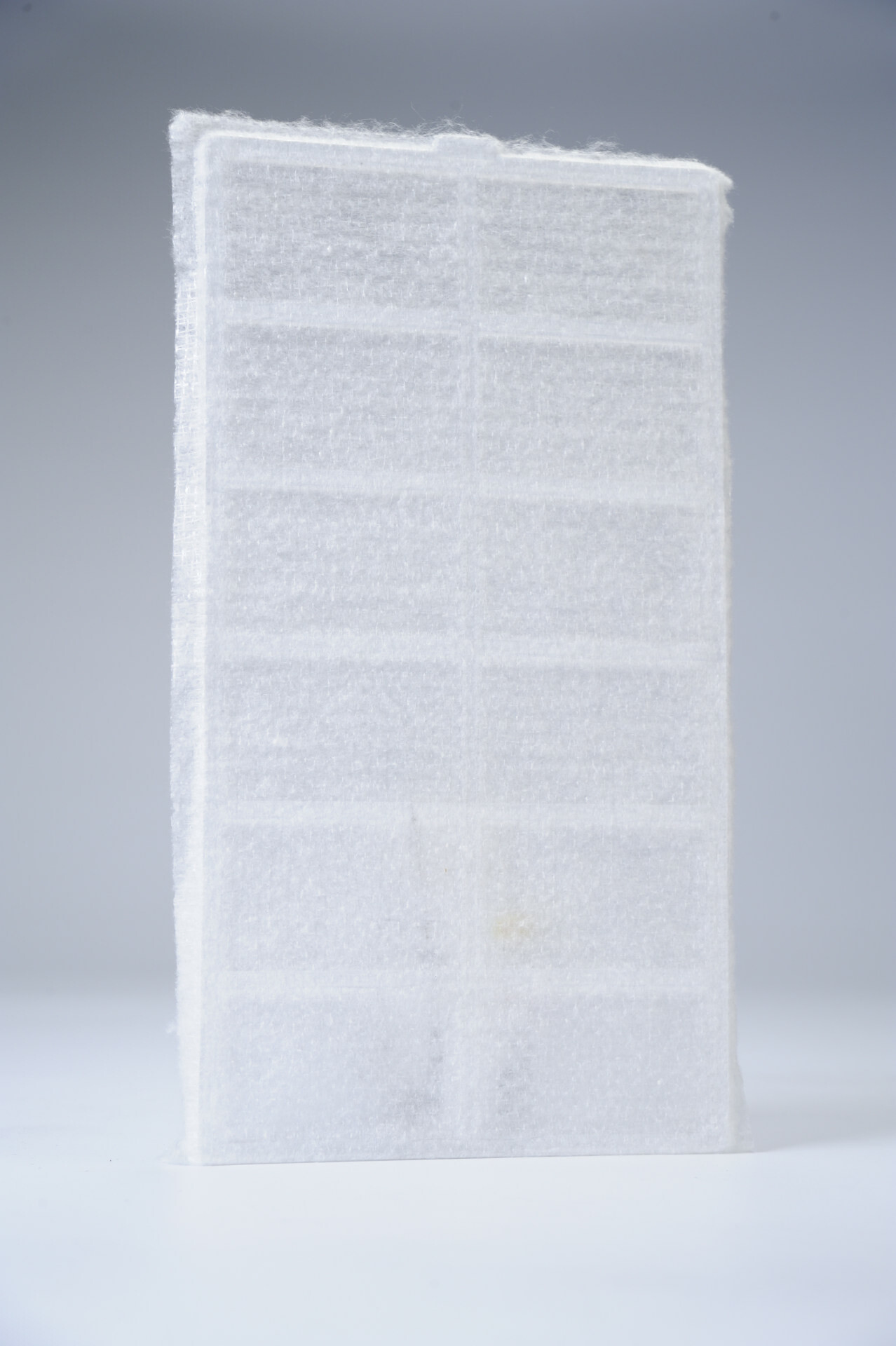 FLT-380 濾網(2片)