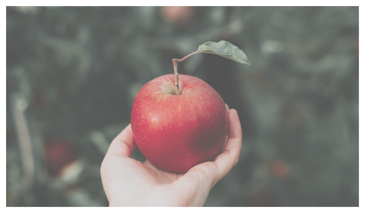 蘋果營養價值高，居然同時富含水溶性及非水溶性膳食纖維