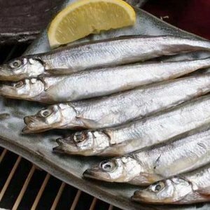 加拿大多春魚 (4-6條) 約100-120g