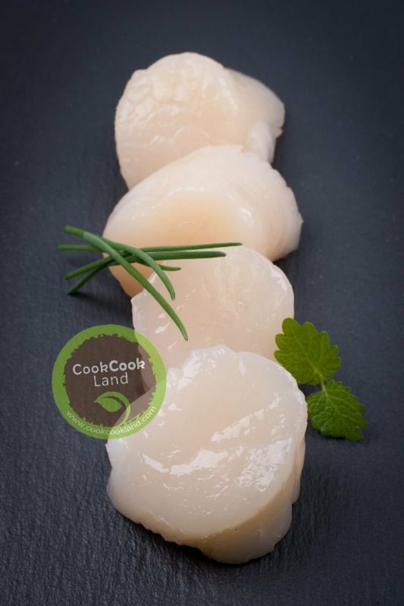 美國帶子IQF 10/20 454g