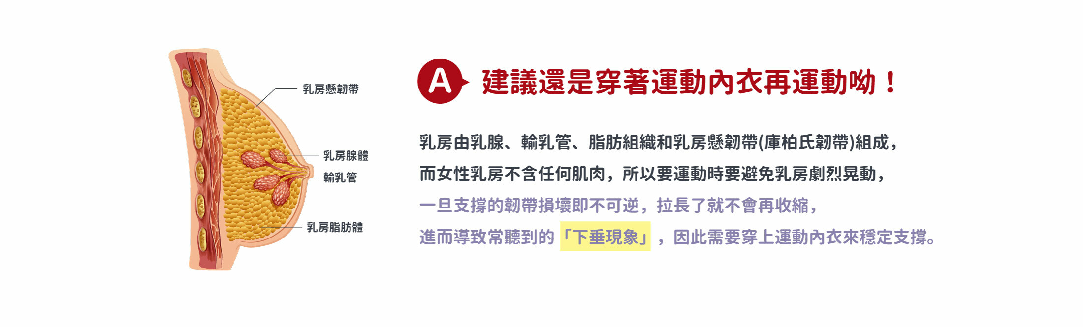 建議還是穿著 運動內衣再運動呦！乳房由乳腺、輸乳管、脂肪組織和乳房懸韌帶 (庫柏氏韌帶) 組成而女性乳房不含任何肌肉所以要運動時要避免乳房劇烈晃動一旦支撐的韌帶損壞即不可逆拉長了就不會再收縮進而導致常聽到的「下垂現象」因此需要穿上運動內衣來穩定支撐。