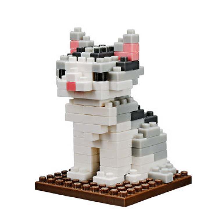 微型積木/美國短毛貓