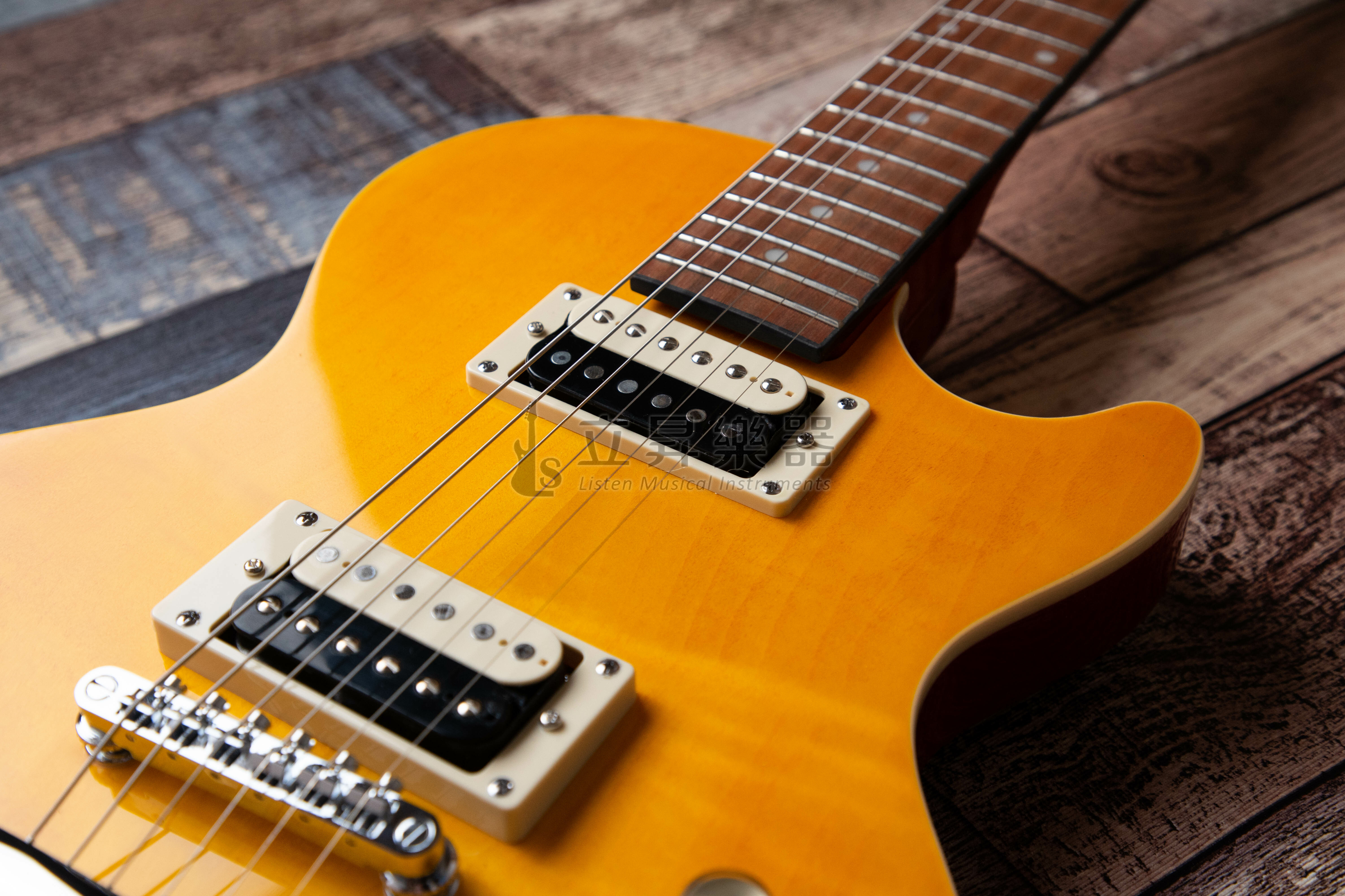 Epiphone Slash Appetite Les Paul Special-II 槍與玫瑰吉他手 代言琴 ENA2AANH3 附原廠袋