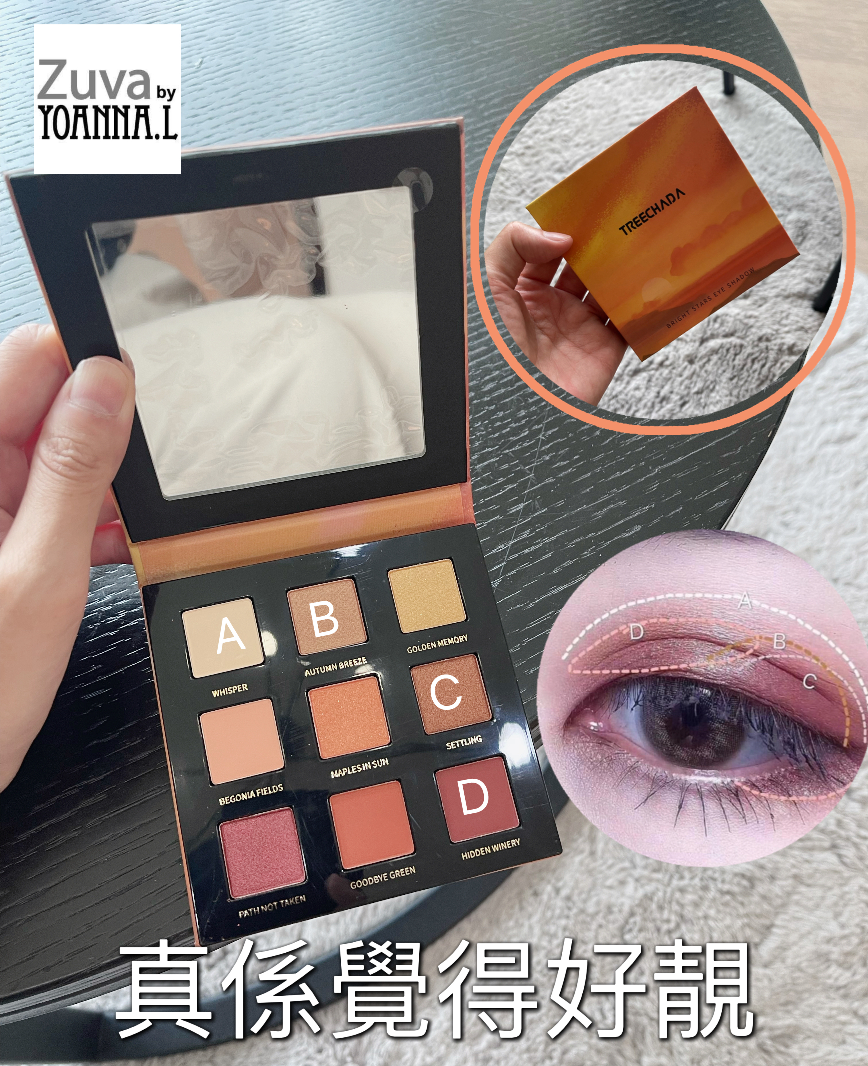 泰國Treechada 9色眼影Y862