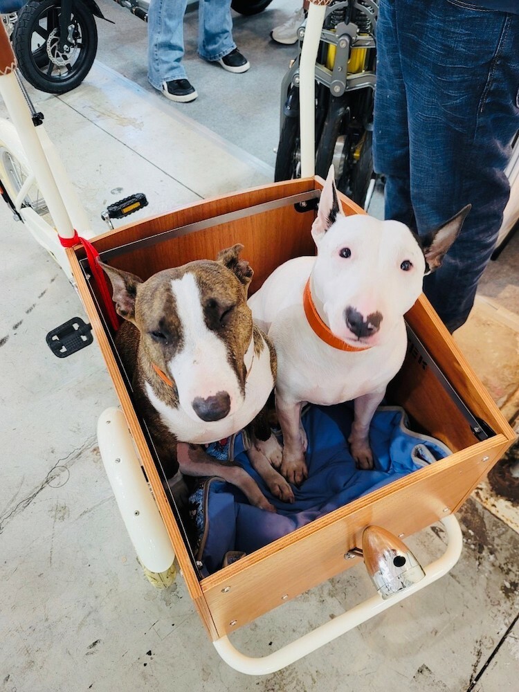 全新改款寵物三輪車