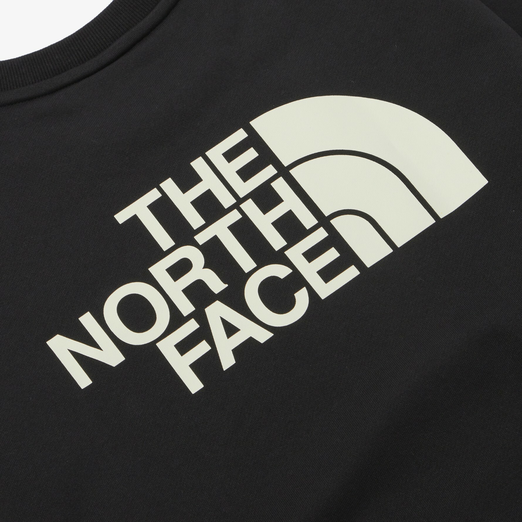THE NORTH FACE BIG LOGO EX 長袖 衛衣 大學T 黑 NM5MN61A