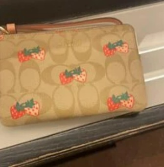 [S] COACH SIGNATURE WITH STRAWBERRY PRINT CORNER ZIP WRISTLET,LIGHT KHAKI MULTI, 195031577550 (SCO66)