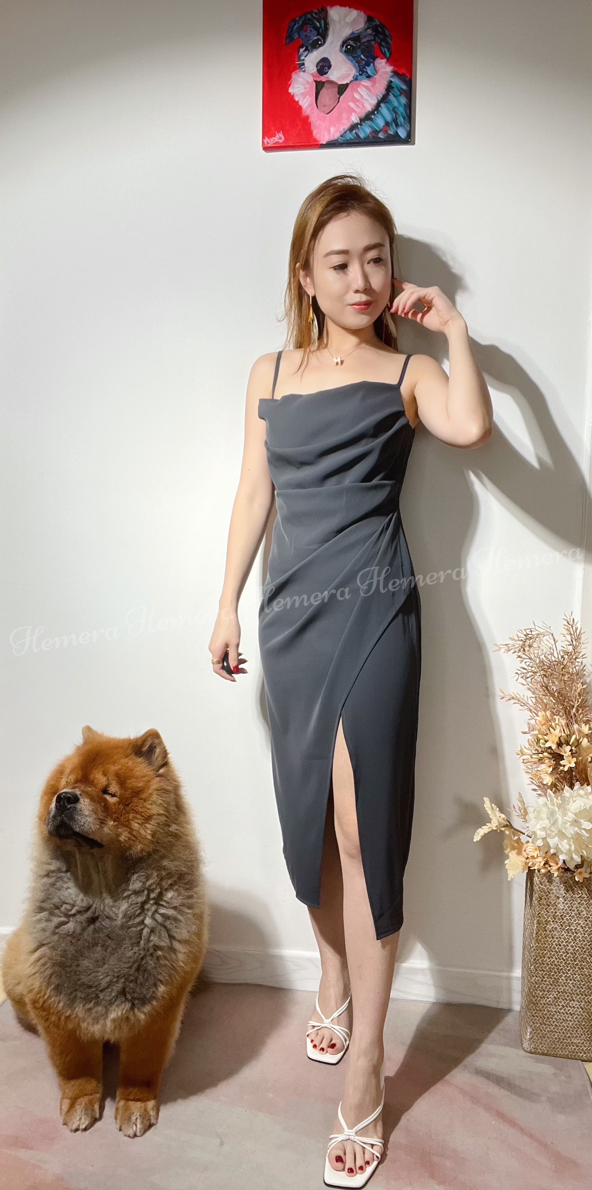 Elegant Sexy Long Dress DR22S08002