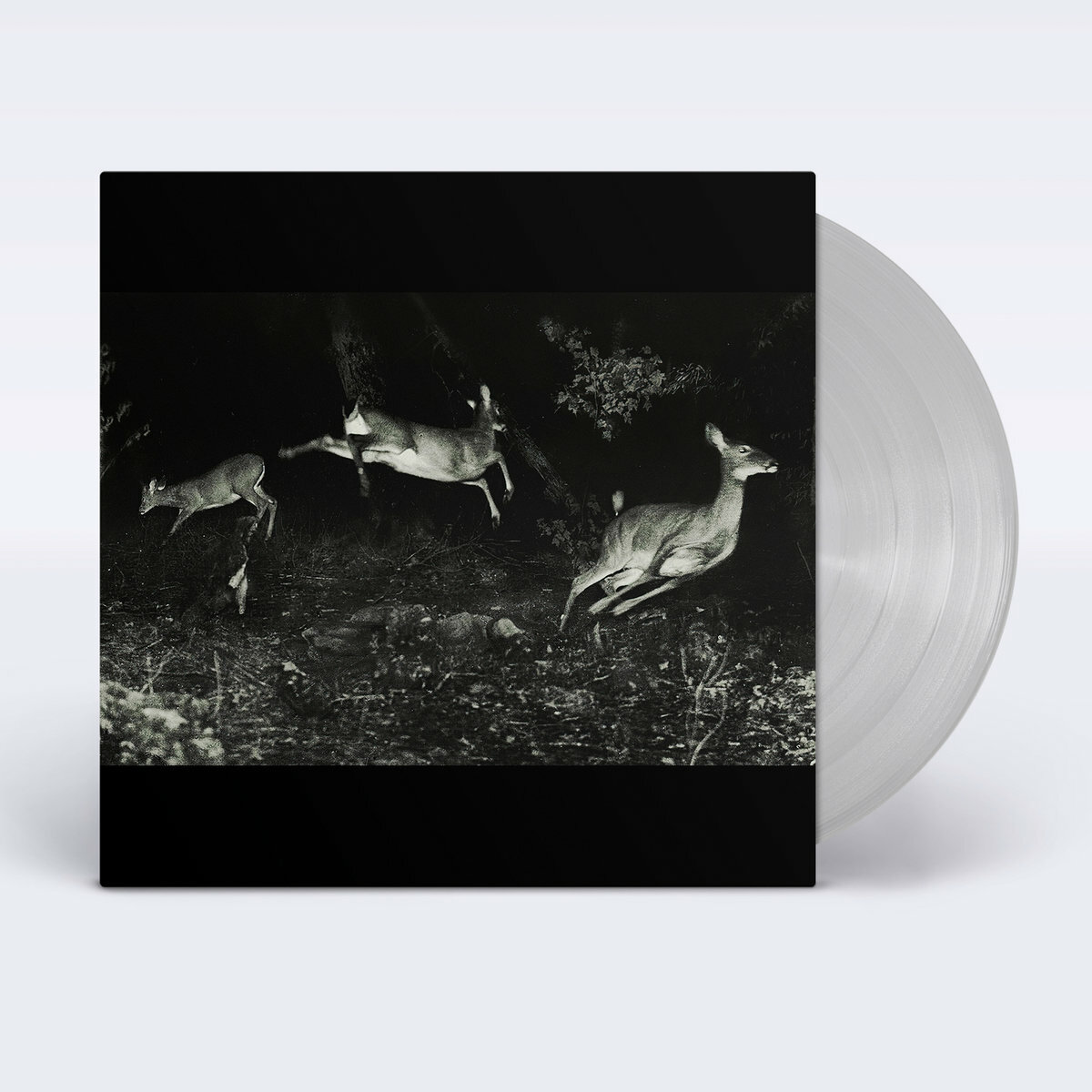 Wordcolour《The trees were buzzing, and the grass.》（限量180g 透明膠LP + MP3下載碼）