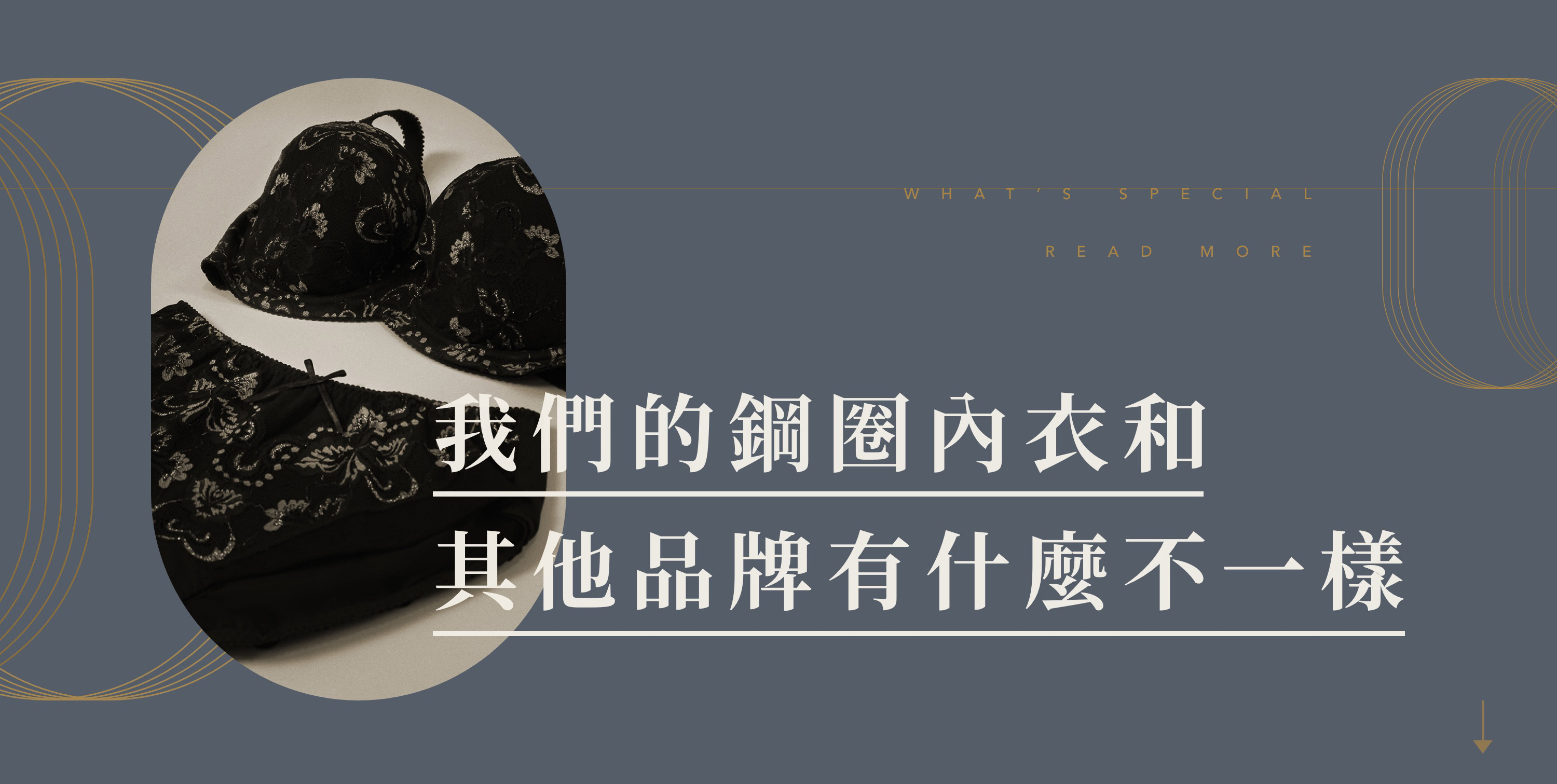 佳瑪大罩杯內衣，鋼圈系列介紹