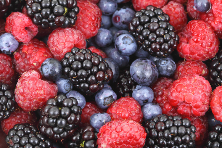 藍莓、黑莓、蔓越莓