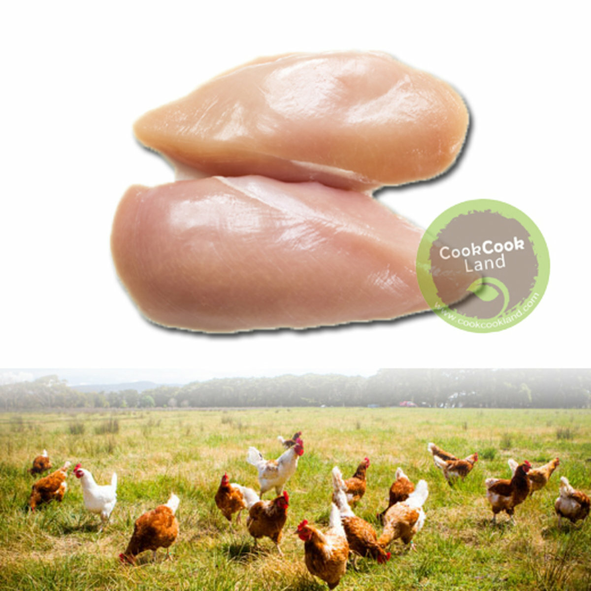 紐西蘭天然無添加激素走地雞胸肉 (無皮) 400g
