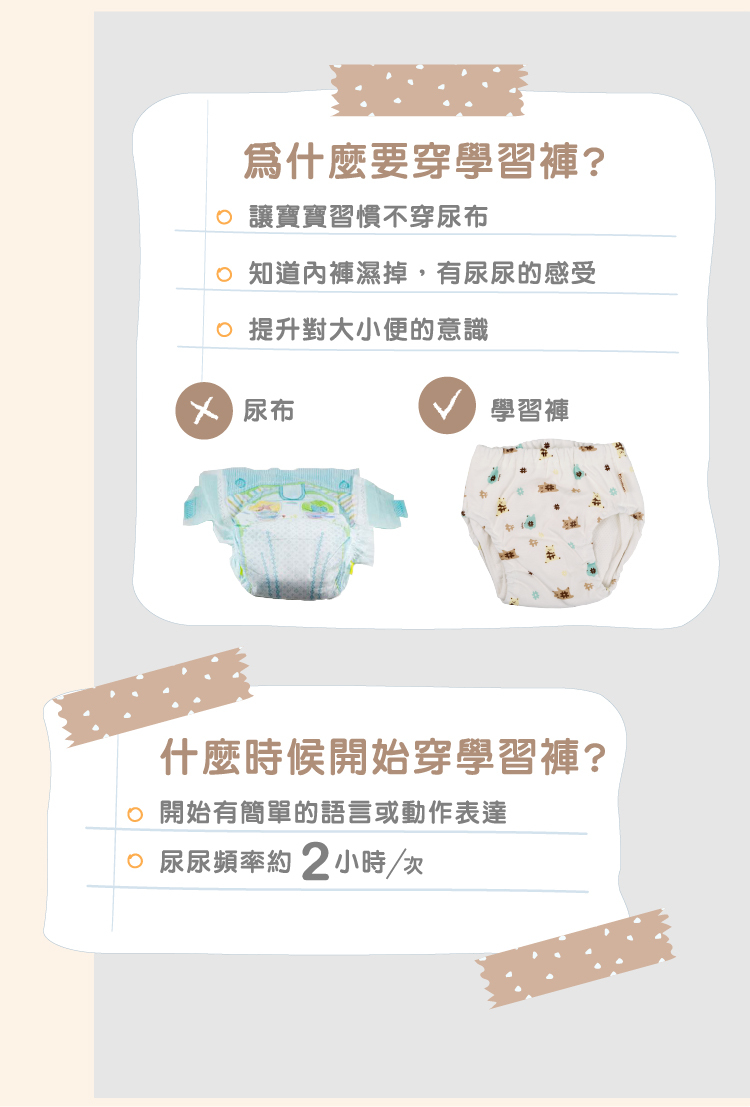 6層鬆餅熊學習褲使用介紹 幼兒使用學習褲說明,當小孩開始有簡單的語言或動作表達,即可開始穿學習褲