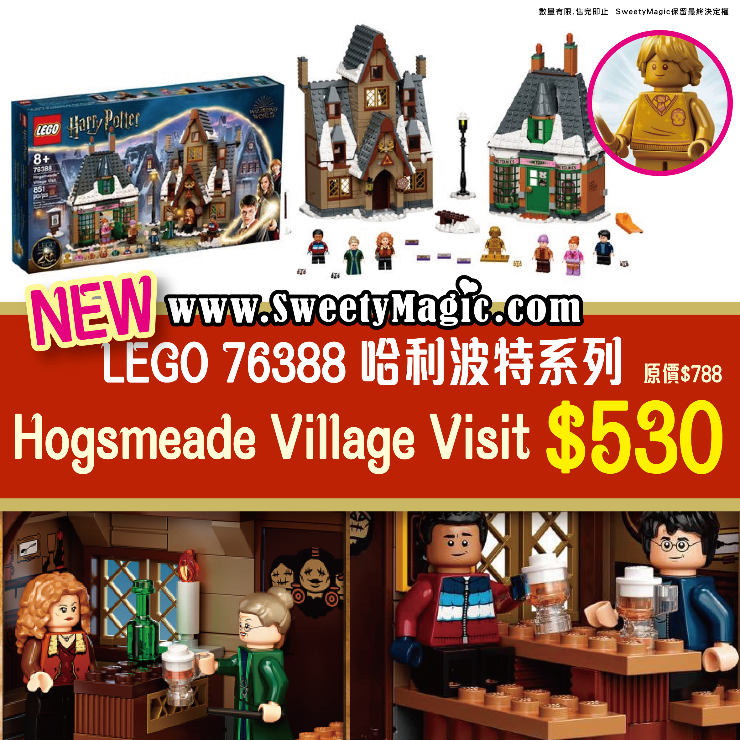 LEGO 76388  Harry Potter：Hogsmeade Village Visit