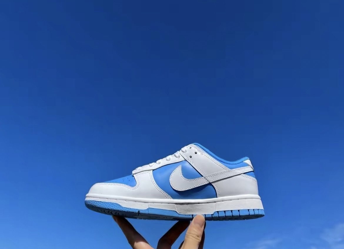 Nike Dunk Low ESS 