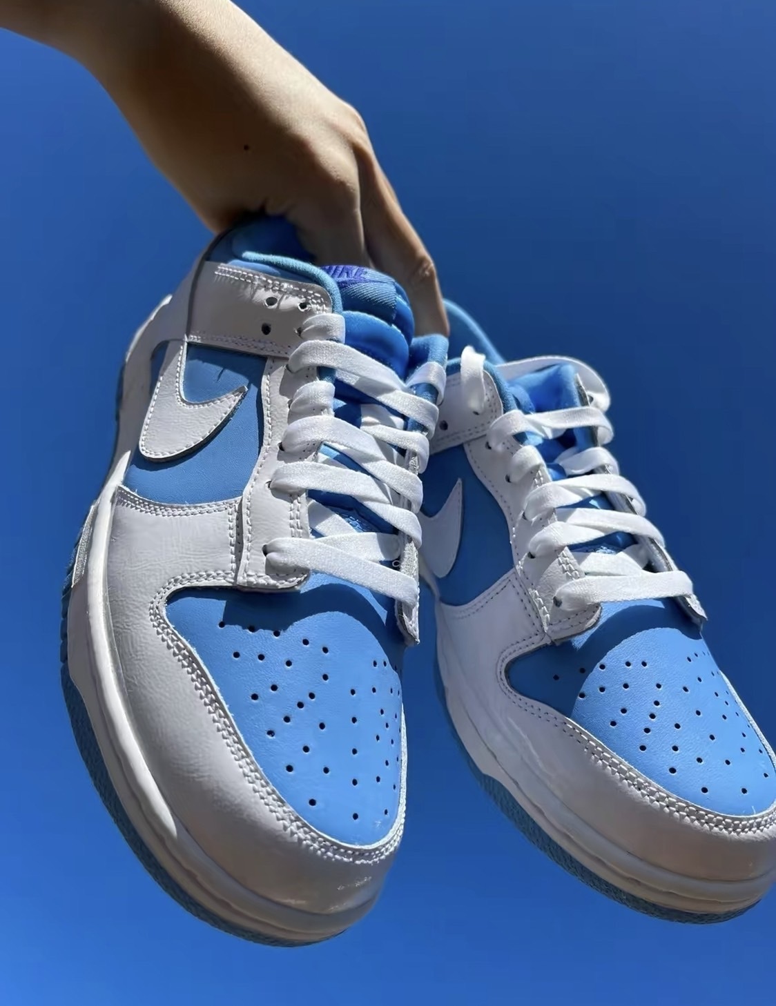 Nike Dunk Low ESS 