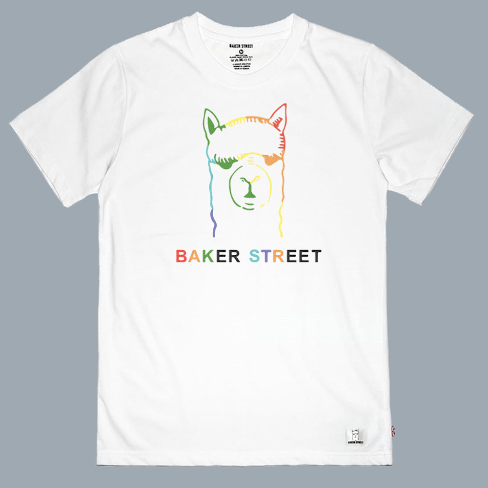 Rainbow Power 彩虹力量 短T