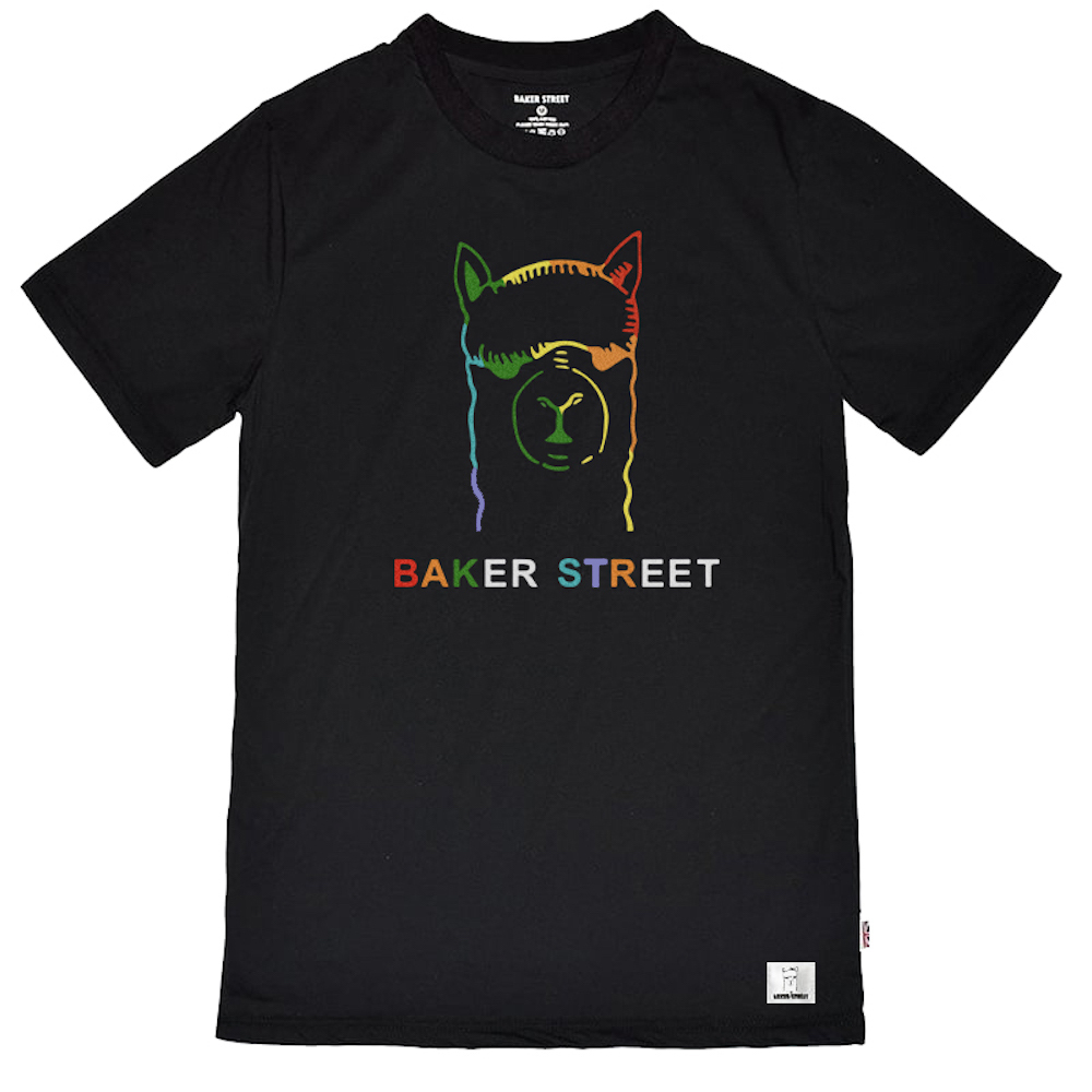 Rainbow Power 彩虹力量 短T