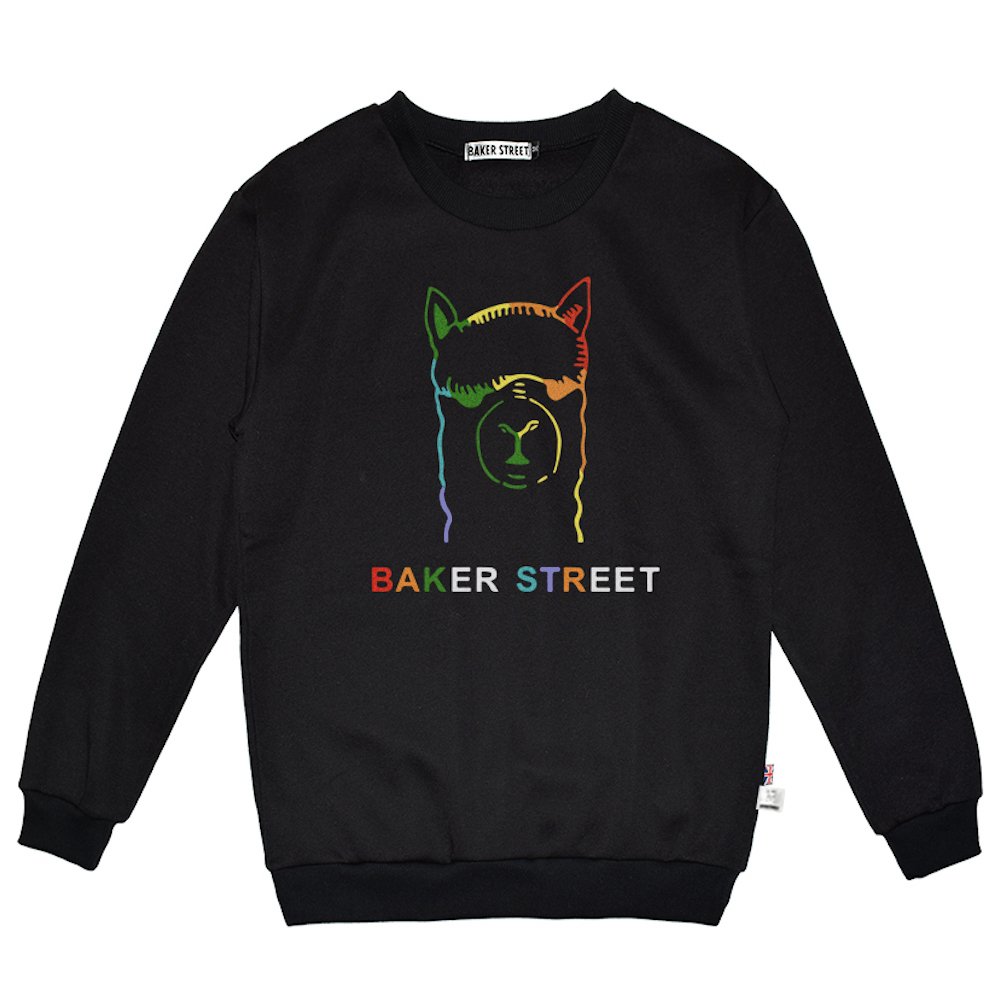 Rainbow Power 彩虹力量 高磅數長袖圓T