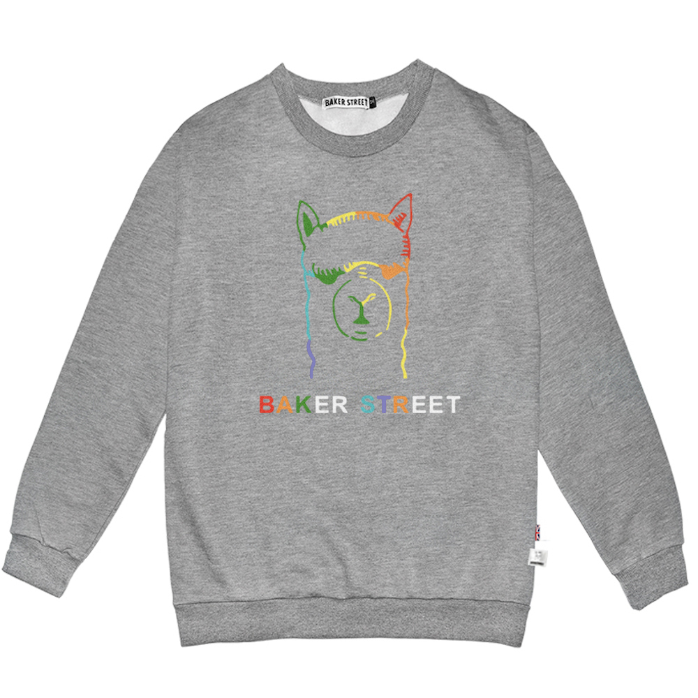 Rainbow Power 彩虹力量 高磅數長袖圓T