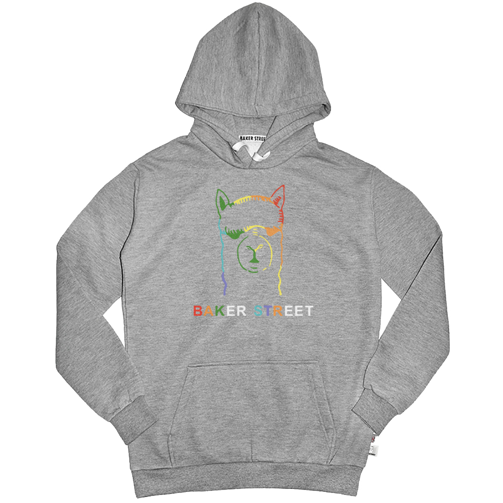 Rainbow Power 彩虹力量 高磅數長袖帽T