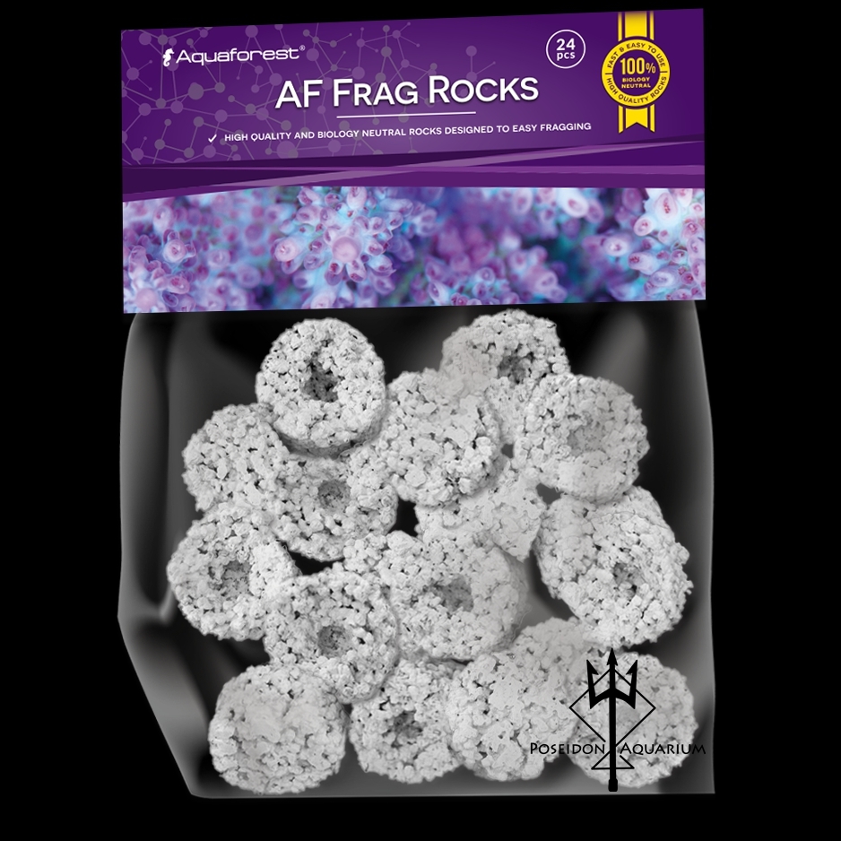 AF Fragbase 珊瑚基座 (24入/包)