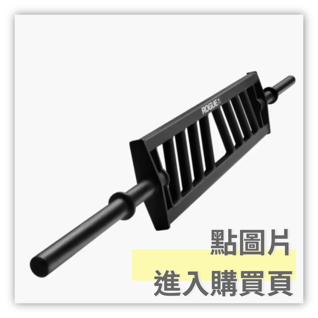 RogueMG-2MultiGripBars