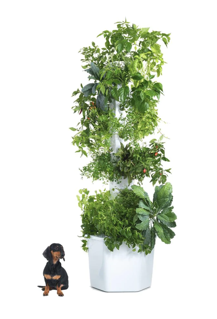 Aerospring Pro Hydroponic System