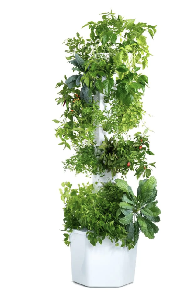 Aerospring Pro Hydroponic System