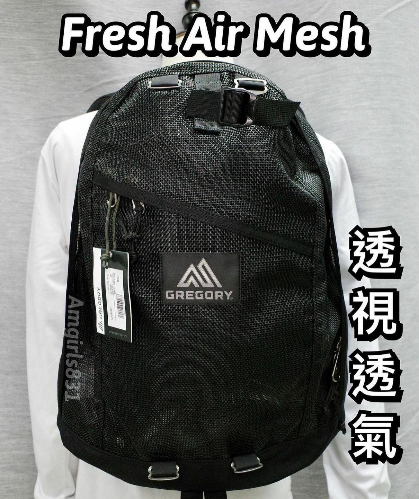 Gregory day pack fresh air mesh