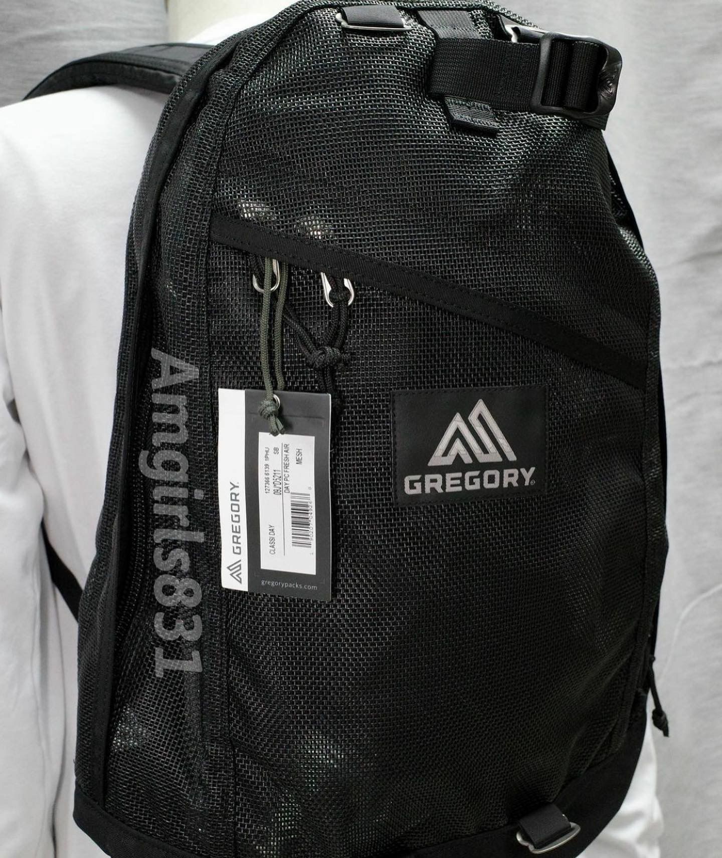 Gregory day pack fresh air mesh