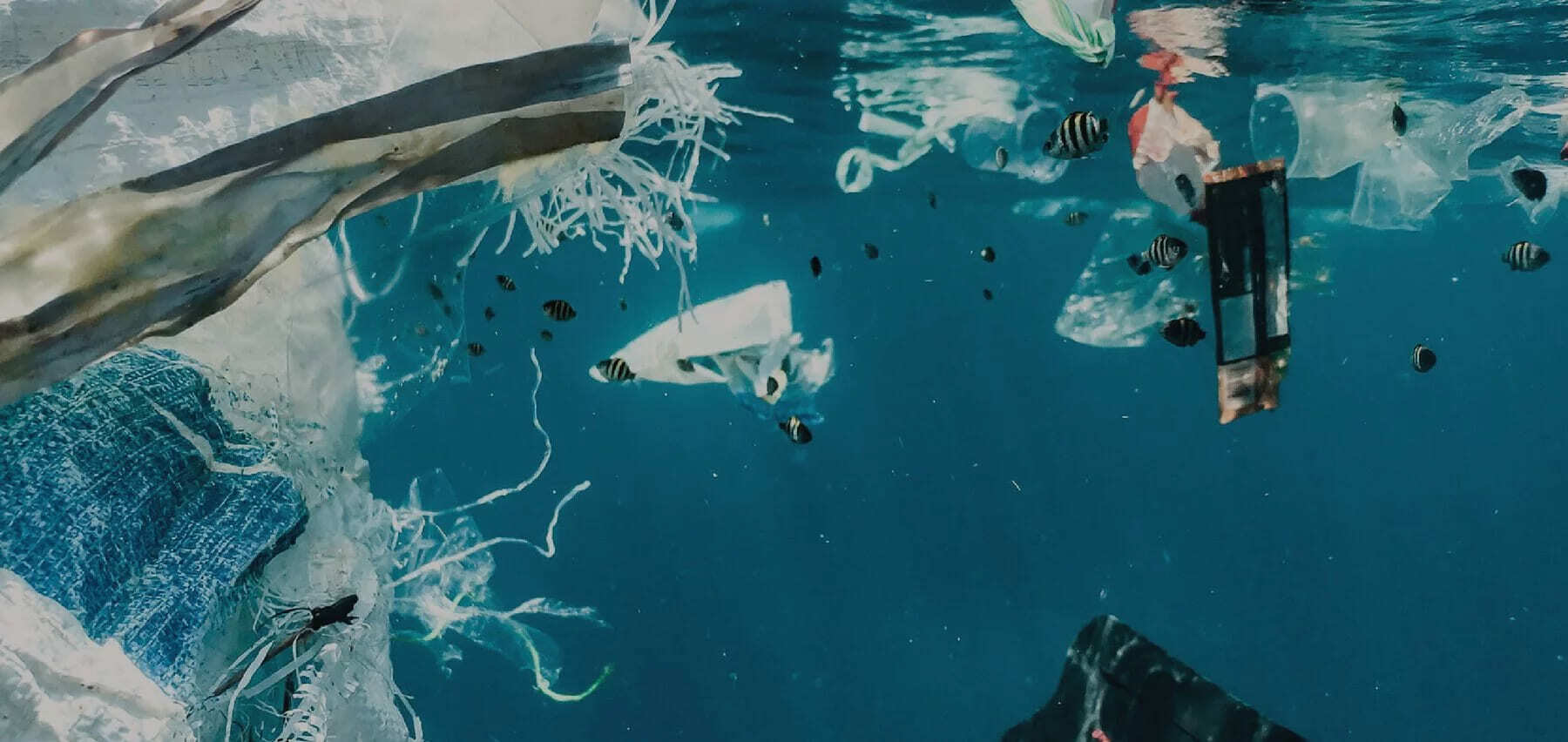 環境友善 不造成環境負擔   垃圾減到最低