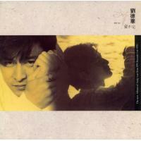 劉德華-愛不完(復黑王)ANDY LAU