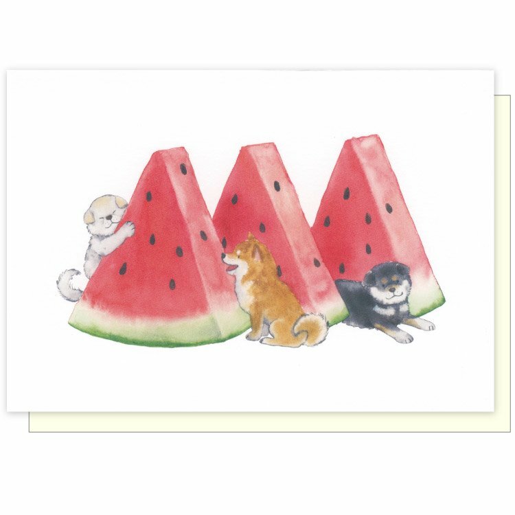 西瓜 夏日柴犬系列 卡片｜日本ACTIVE CORPORATION