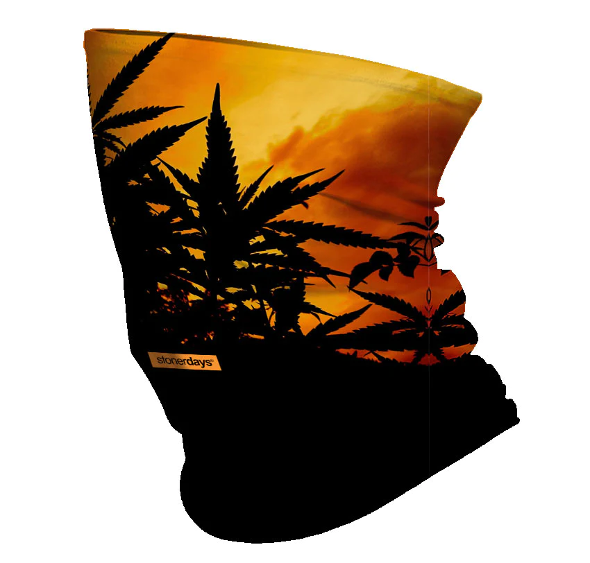 美國StonerDays Sunset Silhouette Neck Gaiter 多功能圍脖(日落)