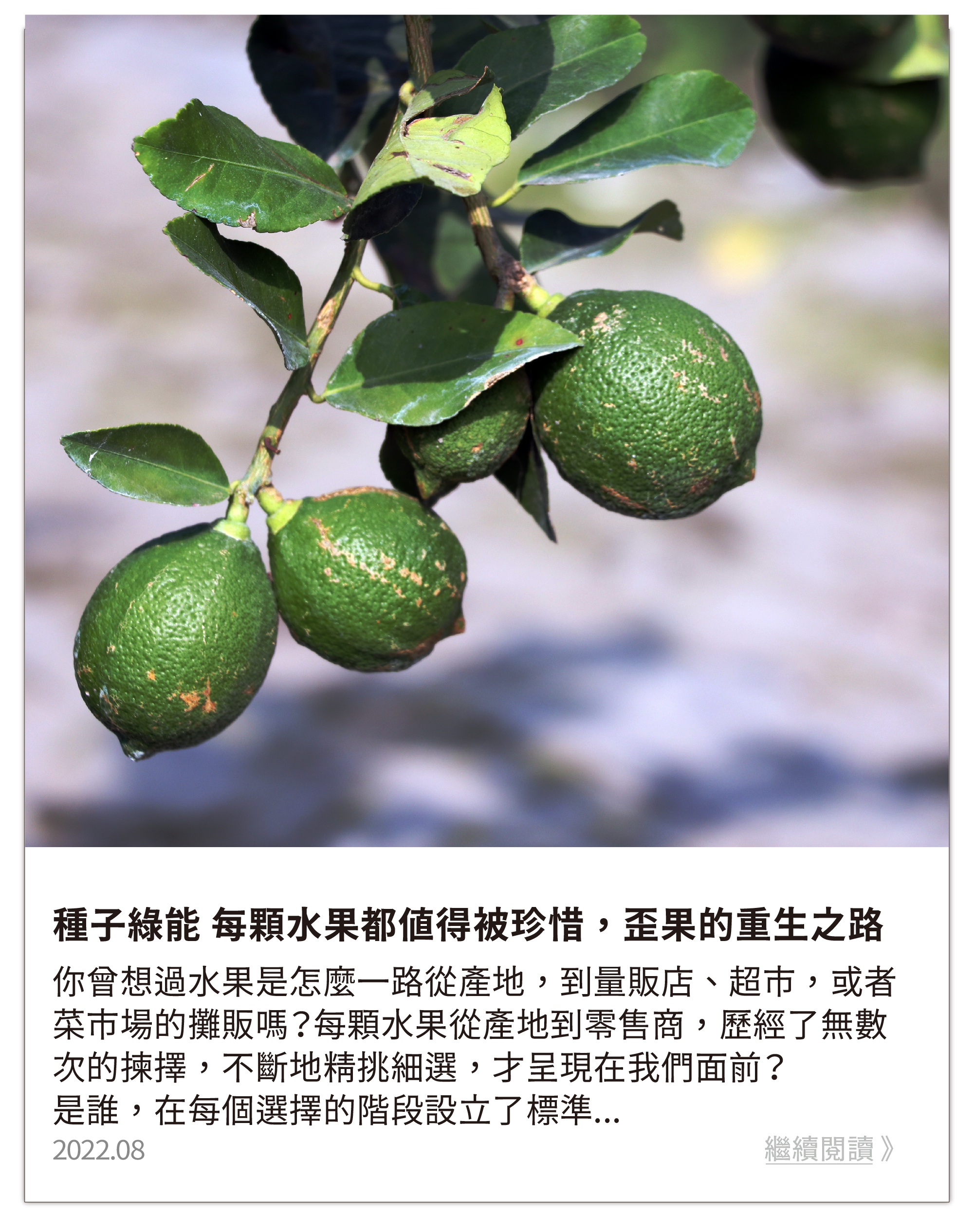 種子綠能 每顆水果都值得被珍惜，歪果的重生之路