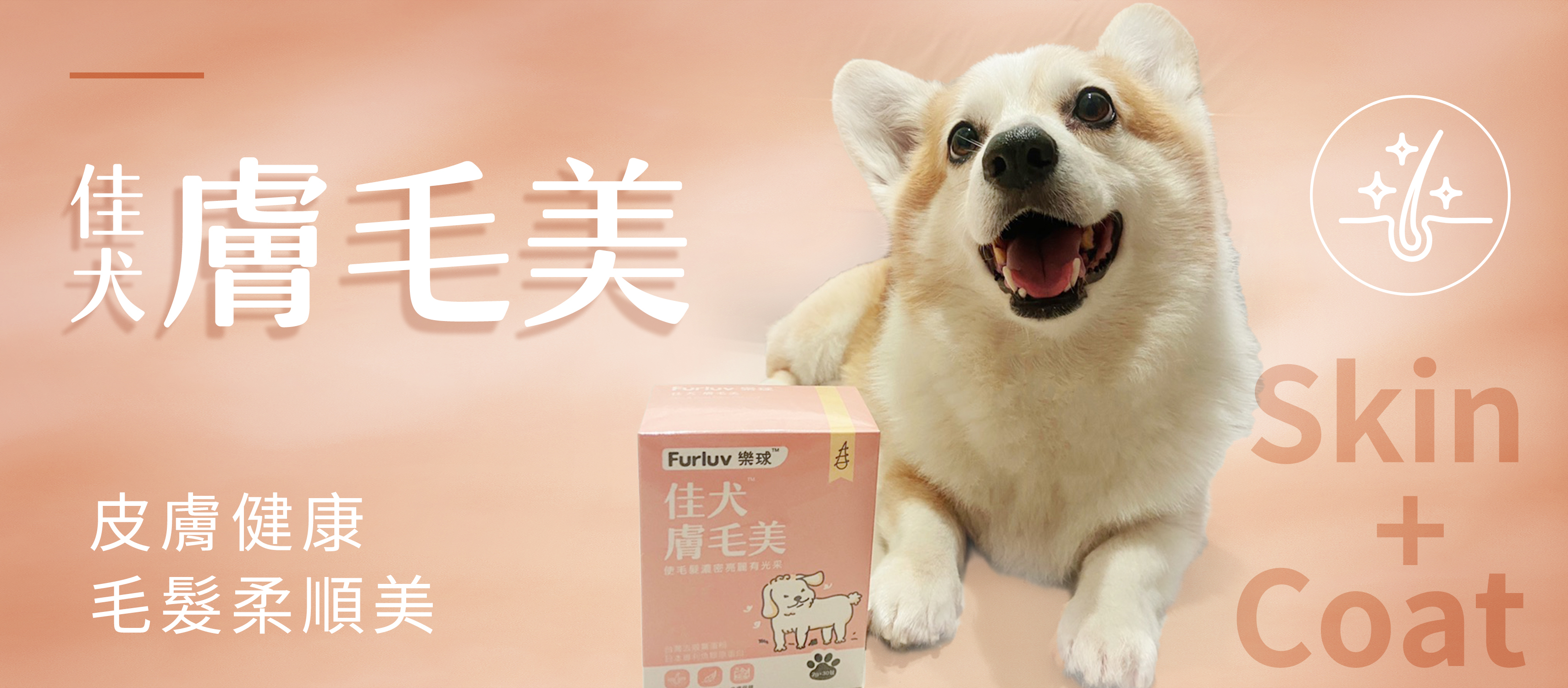 守顧狗狗皮膚健康