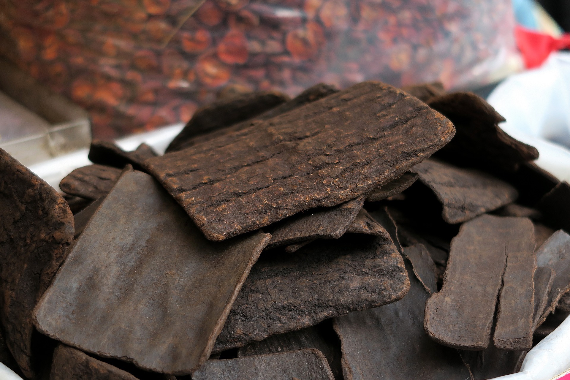 杜仲好處一次說給你聽