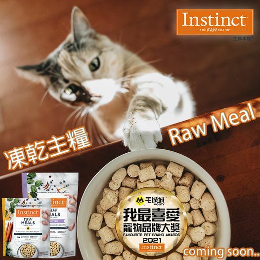 Instinct®凍乾生肉貓糧-成貓雞肉 9.5oz
