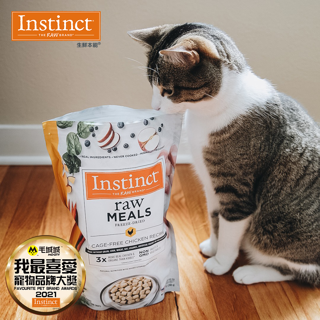 Instinct® 凍乾生肉貓糧 - 成貓雞肉9.5oz