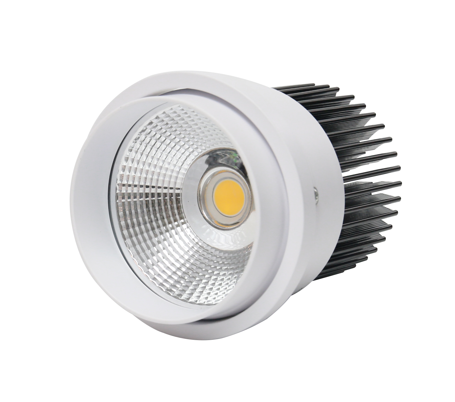 AR111模組光源  40W